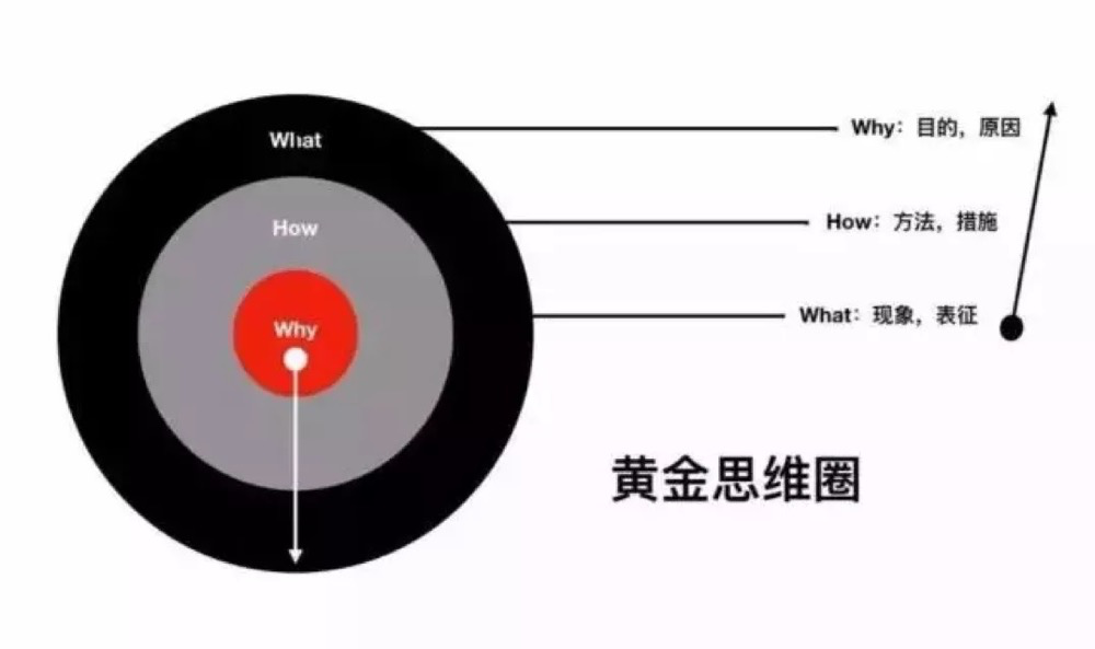 十倍成长模型：信息 认知 行动 迭代